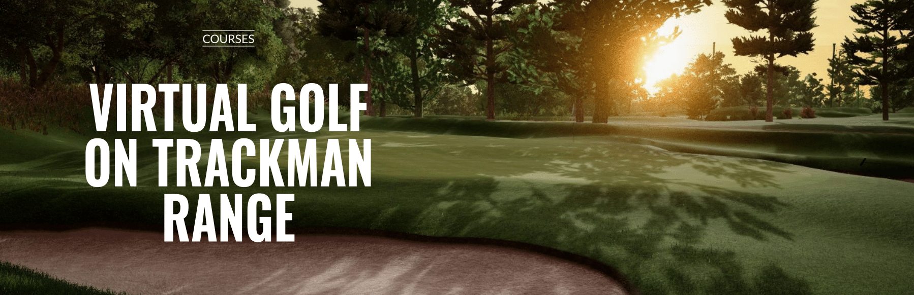 Virtual Golf Banner Cropped